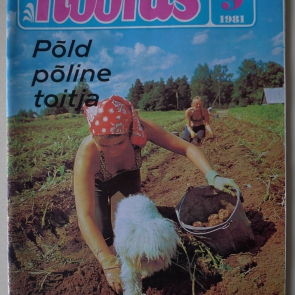 Noorus / September 1981
